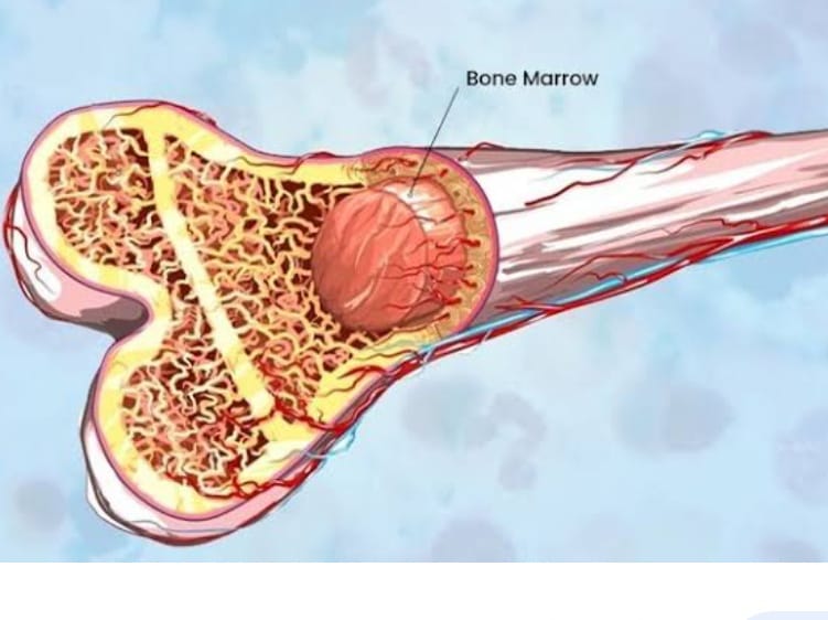 WhatsApp Image 2023-04-29 at 16.21.55 (1) https://www.surgicalmatch.com/wp-content/uploads/2023/04/WhatsApp-Image-2023-04-29-at-16.21.55-1.jpeg