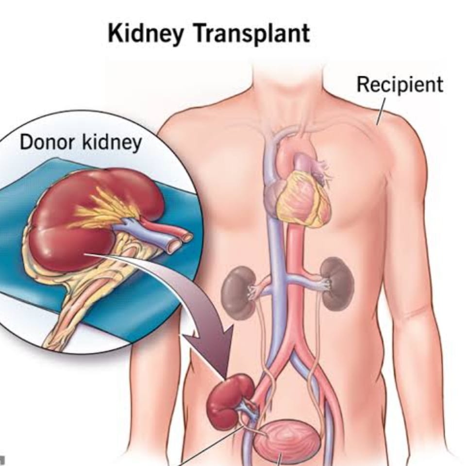 WhatsApp Image 2023-04-29 at 16.21.55 (2) https://www.surgicalmatch.com/wp-content/uploads/2023/04/WhatsApp-Image-2023-04-29-at-16.21.55-2.jpeg